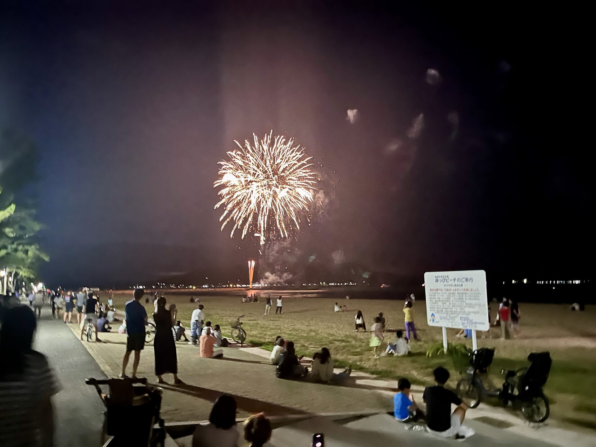 Fireworks on the beach